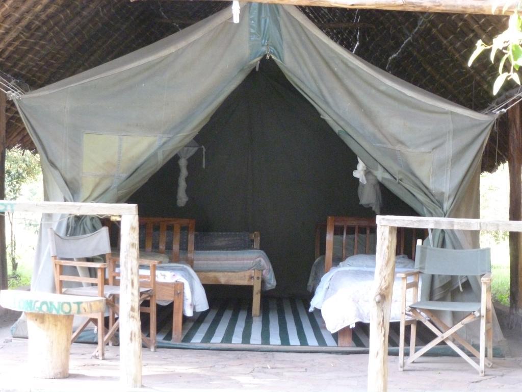 Enchoro Wildlife Camp Hotel Ololaimutiek ภายนอก รูปภาพ