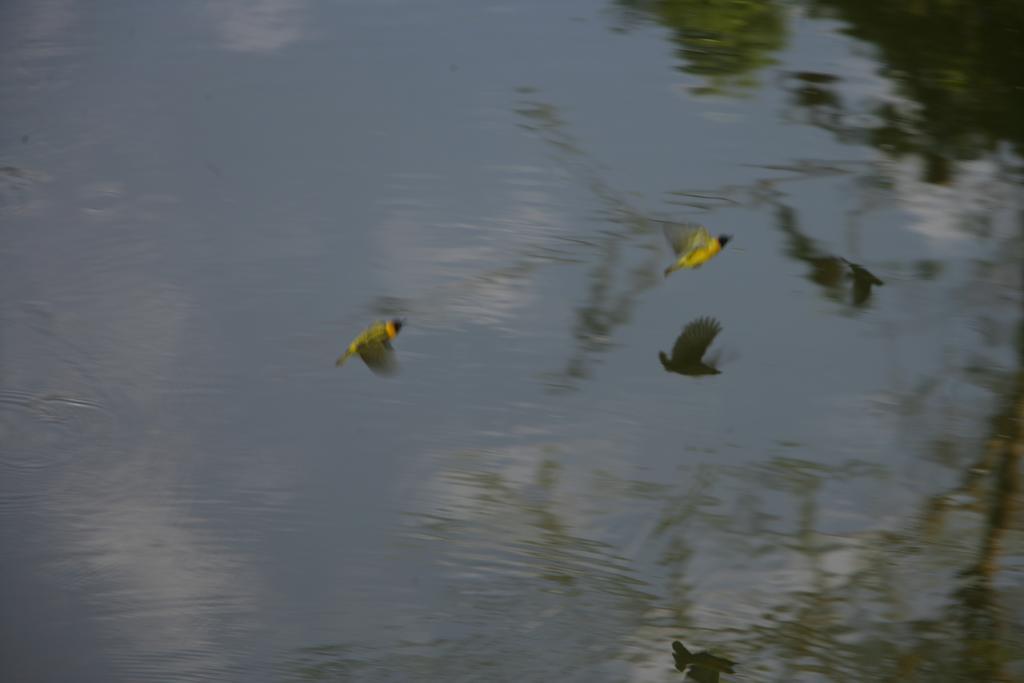 Enchoro Wildlife Camp Hotel Ololaimutiek ภายนอก รูปภาพ