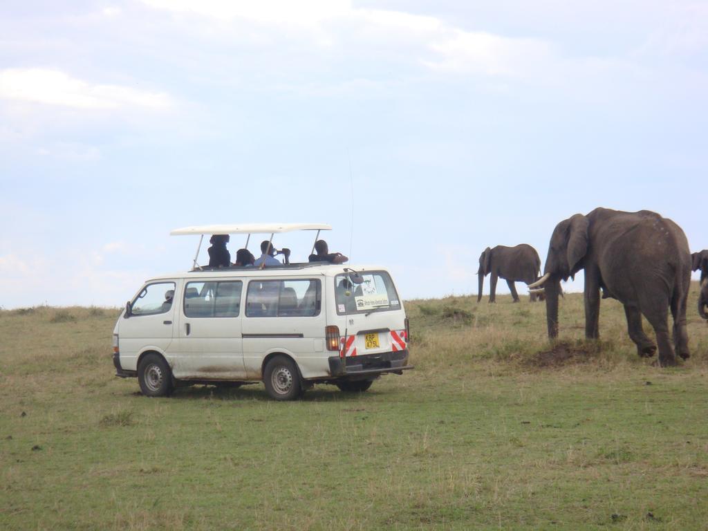 Enchoro Wildlife Camp Hotel Ololaimutiek ภายนอก รูปภาพ