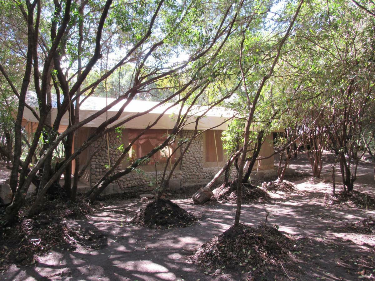 Enchoro Wildlife Camp Hotel Ololaimutiek ภายนอก รูปภาพ