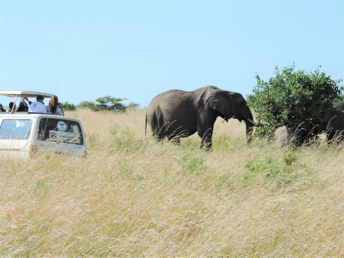 Enchoro Wildlife Camp Hotel Ololaimutiek ภายนอก รูปภาพ